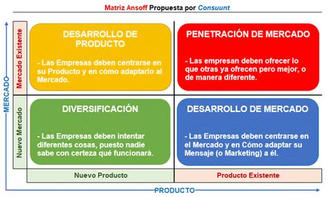 Tutorial Como Aplicar La Matriz De Ansoff Para Identificar The Best