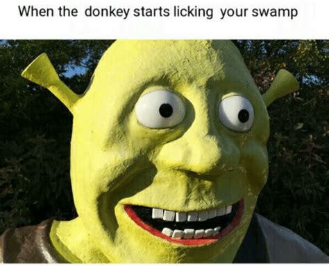 25 Best Memes About Somebody Once Told Me Shrek