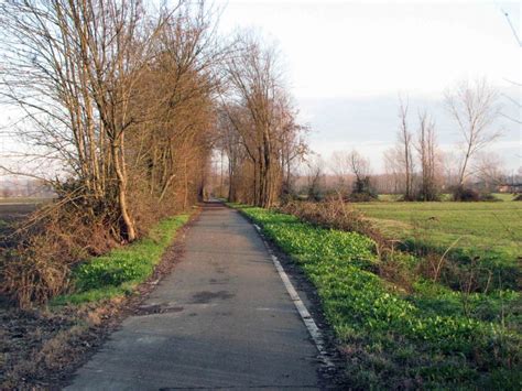 Cerchi un'azienda o una farmacia aperta? Pista ciclabile da Mirandola a Finale Emilia