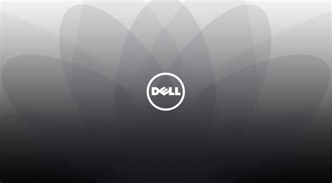 Dell Xps 15 4k Wallpapers Top Free Dell Xps 15 4k Backgrounds