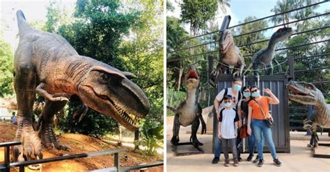 Tapi sejak harga tiket zoo melaka naik, servis ini dikira percuma. Dinosaur Encounter Tarikan Terbaru Di Zoo Melaka, Tawaran ...