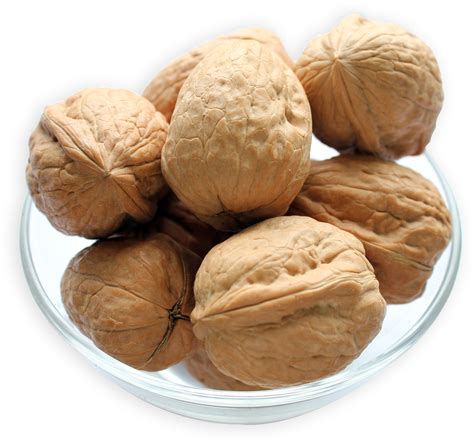Buy Walnuts In Shell Online At Low Prices Nuts In Bulk