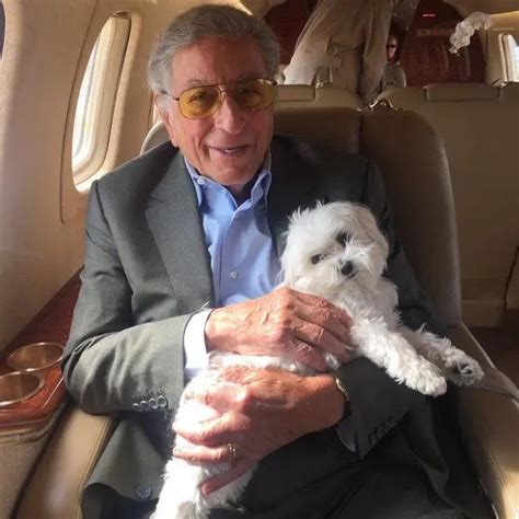 16 Celebrities With Maltese Dogs Dog Red Line