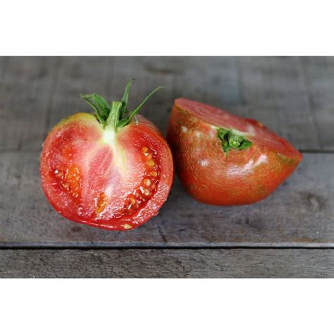 Oxheart Pink Tomato Heirloom 80 Days