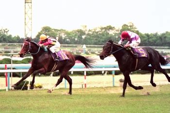 一番「いたなぁ…」ってなる種牡馬を挙げたやつが優勝 | 競馬 ...