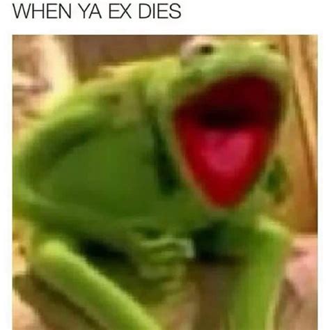 Download Meme Kermit The Frog Love | PNG & GIF BASE