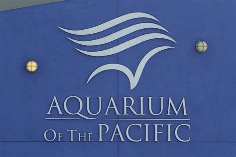 Aquarium Of The Pacific Project Coastal Crisis