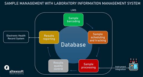 LIMS Software: Workflow, Features, and Main Vendors | AltexSoft