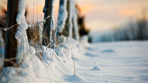 Wallpaper Thick Snow Winter Fence 1680x1050 Hd Picture Image