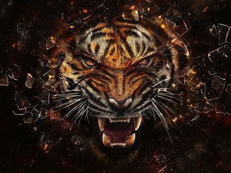 3000 x 1972 jpeg 281 кб. 3D Tiger With Glass Breaking Effect | HD 3D and Abstract ...