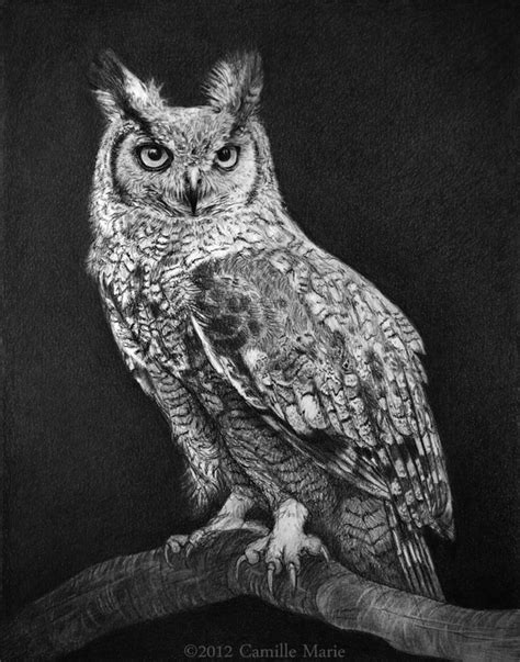 Greater prairie chicken drawing lesson. Great Horned Owl by Camille-Marie on DeviantArt