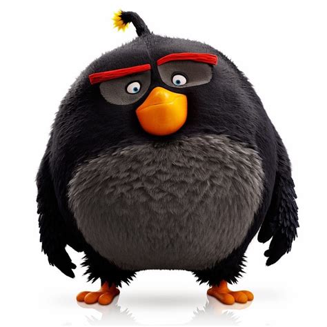 The Internet Isnt Sure What To Think Of The Angry Birds Film