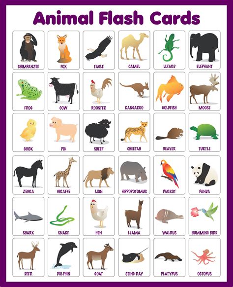 6 Best Images Of Free Printable Animal Flash Cards Printable Animal