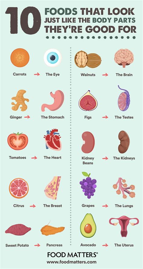 10 Foods And What Body Part Theyre Good For Infographic Artofit