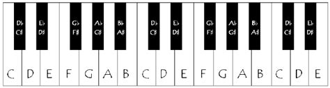 A Piano With The Keys Labeled Download Scientific Diagram