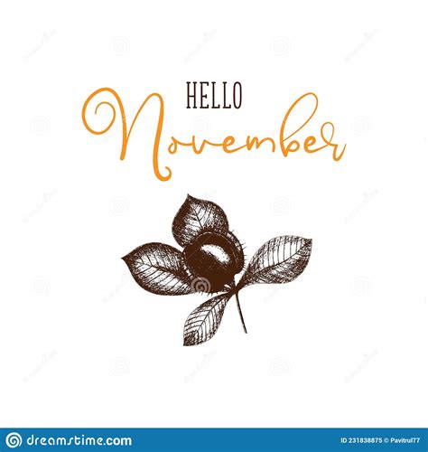 Hello November Vector Chestnut Template Hand Drawing Design For Banner