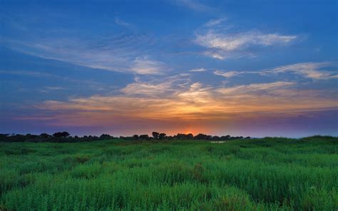 Download Wallpaper 3840x2400 Salicornia Field Sunset Horizon Grass