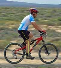 But knowing how to actually set up your bike and make minor adjustments can make a huge 1. Is your Mountain Bike Seat a Real Pain in the...?