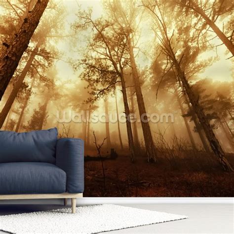 Pine Forest In The Mist Wallpaper Mural Wallsauce Us