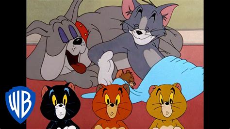 Tom Et Jerry En Français Pourront Ils Un Jour Vivre En Paix Wb