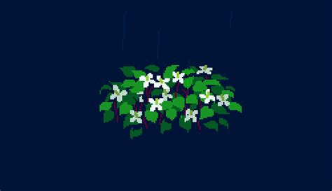 Pixel Rain On Wildflowers By 1041uuu Crosspost From Rrelaxings