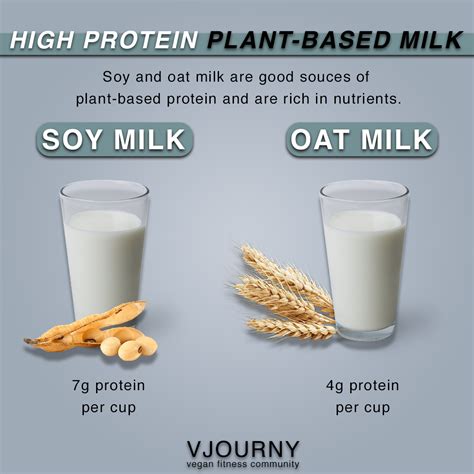 High Protein Plant Based Milk In 2020