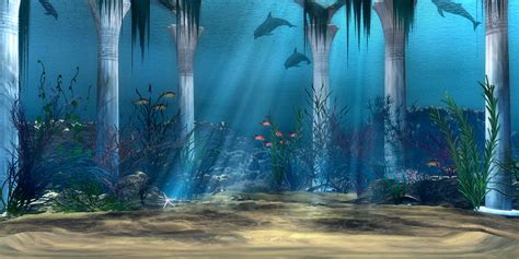 Sea Wallpaper Underwater Underwater Shark Sea Life Wallpapers Hd