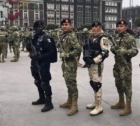 pin de ☠️𝕱𝖊𝖗𝖉𝖎𝖓𝖆𝖓𝖉⚔️𝕯𝖆x𝖚 en ️me⚔️itar ️ fuerzas especiales de mexico ejercito mexicano