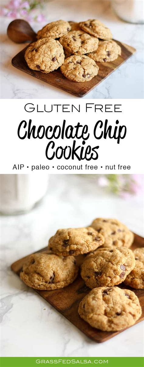 Cup almond flour or meal. The Best Gluten Free Chocolate Chip Cookies (AIP, Paleo ...