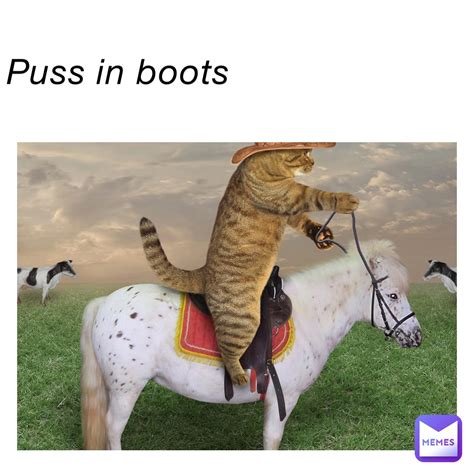 Puss In Boots Kinley11 Memes
