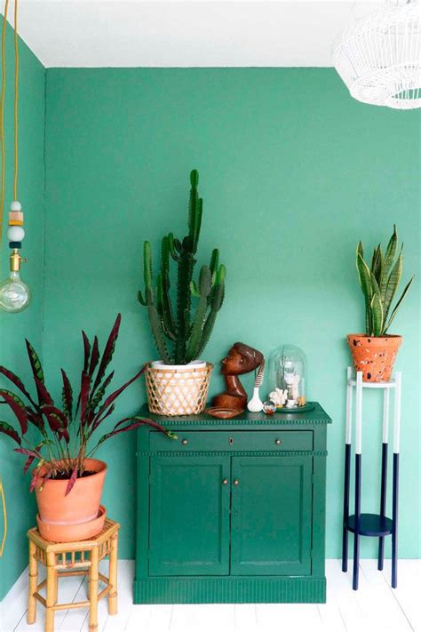 Dale un toque fresco y elegante a tu hogar con plantas, ¡pero en las mesas! Decorar con cactus | Decoraciones de casa, Decoracion de ...