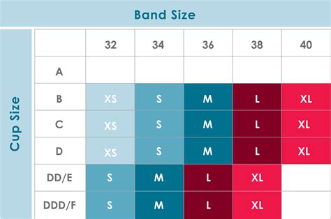 For example, a 12dd aus is approximately the same as a 34dd us, a 34dd uk, and a 75e eu. Sizing Guide | Rumina