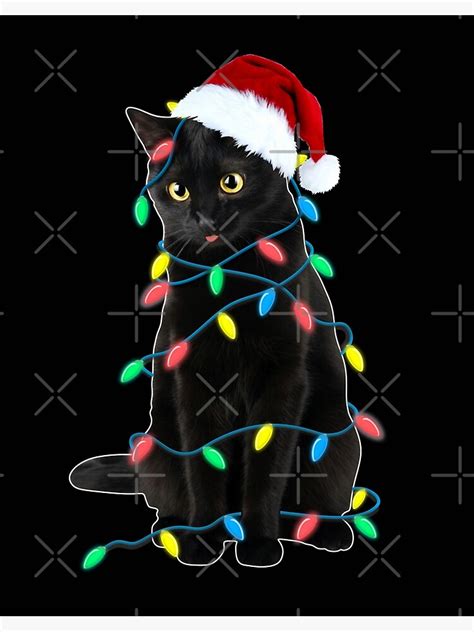 35 Black Cat Christmas Wallpapers Wallpapersafari