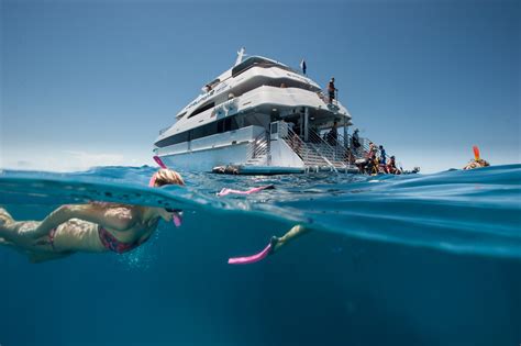 Qualias Great Barrier Reef Expeditions See The Beauty