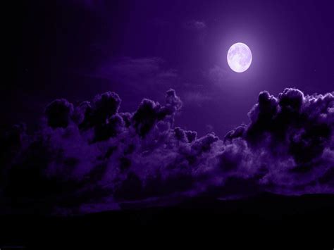 Download Purple Night Wallpaper Gallery