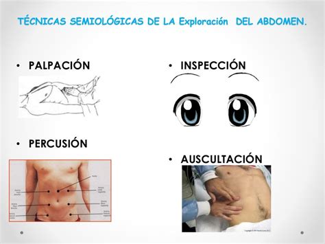 Semiología Abdomen Solo InspecciÓn Y AuscultaciÓn