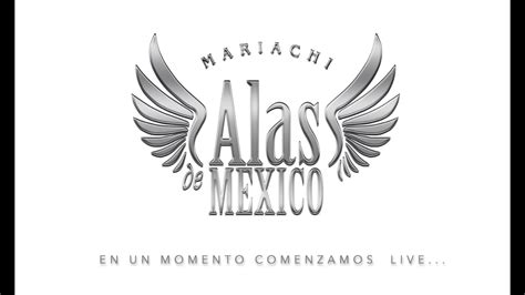 Show En Vivo Mariachi Alas De Mexico Youtube