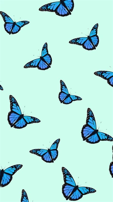 Butterfly Aesthetics Wallpapers Wallpaper Cave Ffe