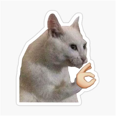 Ok Cat Sticker For Sale By Elaitch Redbubble