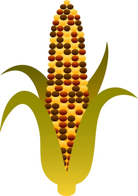 Corn clipart printable, Corn printable Transparent FREE for download on ...