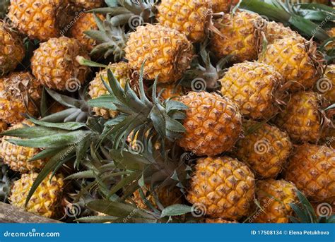 Fresh Pineapple On Market Stock Photo Image Of Ananas 17508134