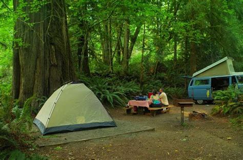 A Complete Guide To Camping In Olympic National Park Outdoor Project