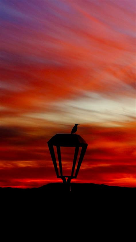 Download Wallpaper 1080x1920 Lantern Bird Silhouette Sunset Samsung