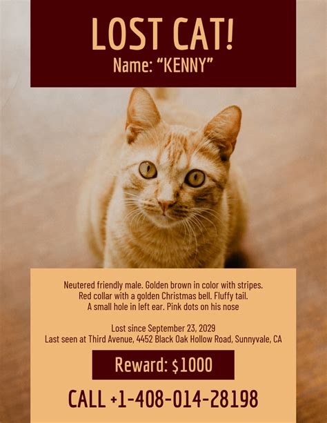 Free lost, missing or stolen pet poster template for ms word to get the word out about your dog, cat or any pet for a faster and safe return home! Monochromatic Missing Cat Poster Template