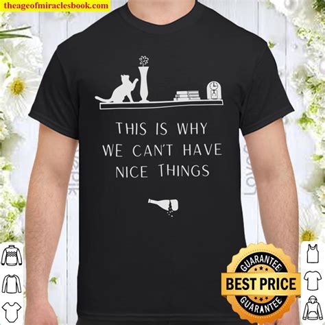 This Is Why We Cant Have Nice Things Shirt