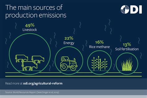 Why Agricultural Reform Is Needed To Achieve Net Zero Emissions Odi