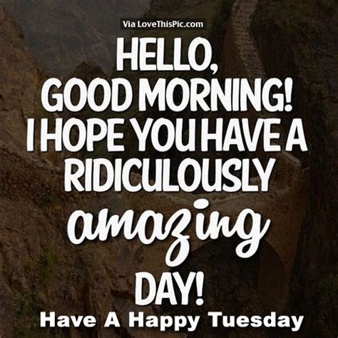 Hello Good Morning I Hope You Have A Ridiculously Amazing Day Pictures Photos And Images