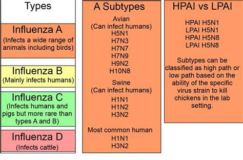 Highly Pathogenic Avian Influenza Ohioline