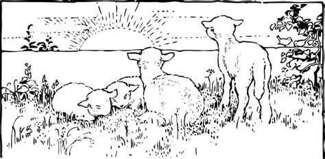Placed or located directly across from something else or from each other: Lambs At Sunrise Clip Art at Clker.com - vector clip art ...