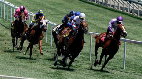 What Are The Different Types Of Horse Racing 888sport